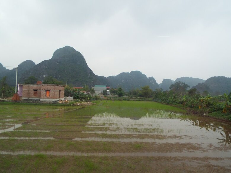 Hostal Hang Mua Homestay - Hostel