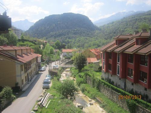 Apartamentos Puente La Molina