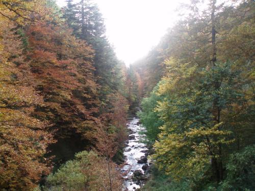 Hotel Rural Au�amendi