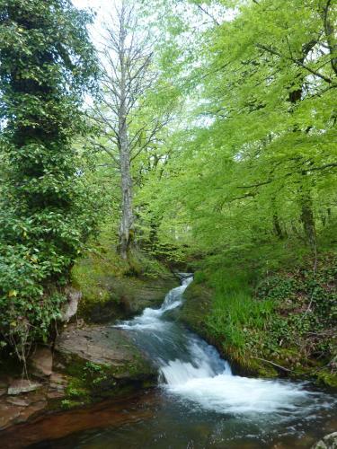 Hotel Rural Au�amendi