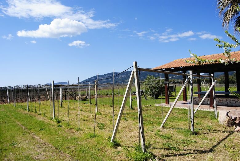 Agroturismo Agriturismo Graziano E Barbara