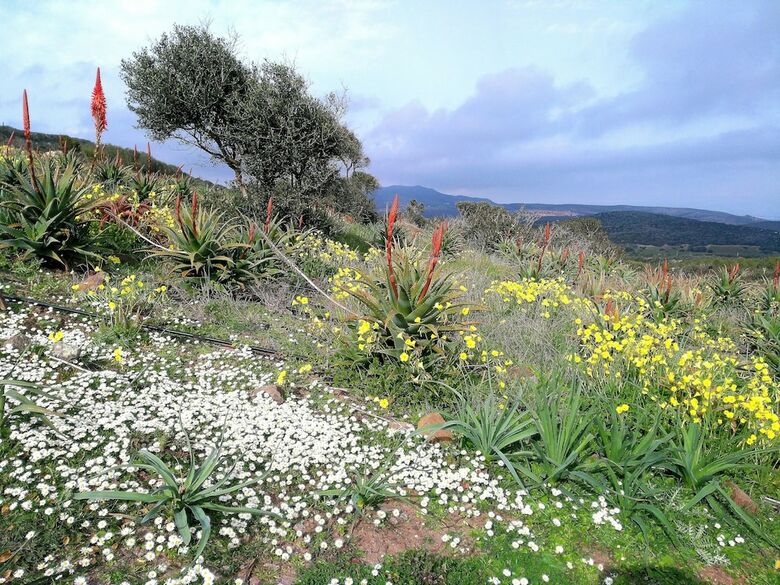 Agroturismo Agriturismo Erbe Matte