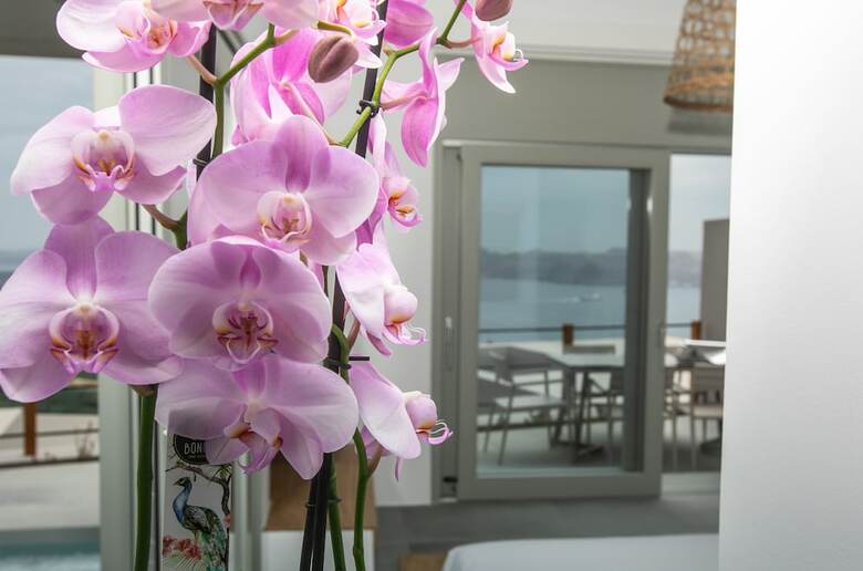 Hotel Melidonia Suites
