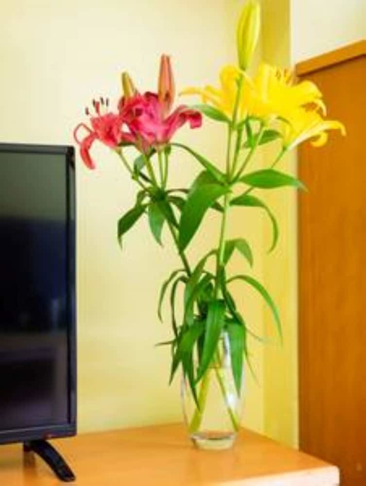 Apartamentos Sea Stars Las Canteras