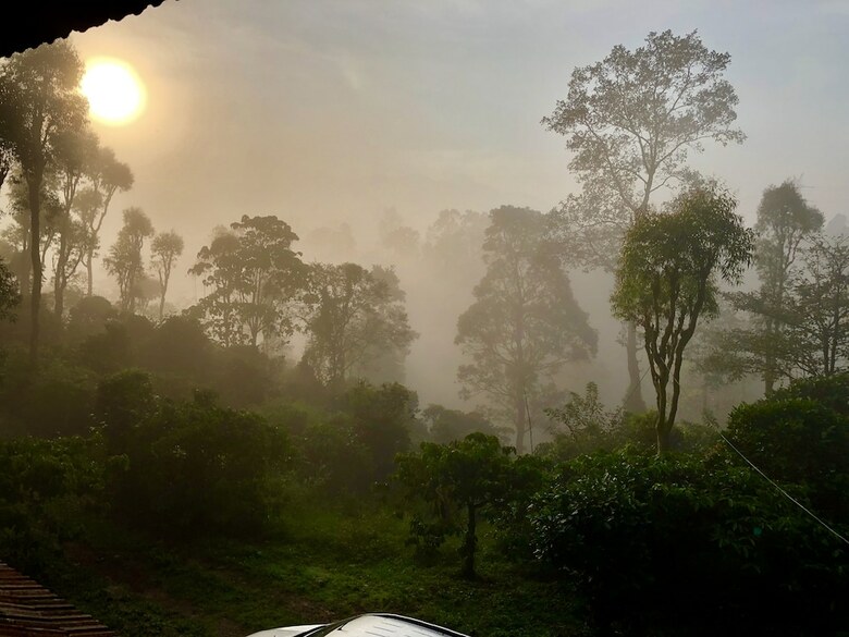 Hotel Cg-ala The Coffee Grove