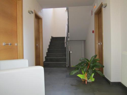 Hostal Restaurante Y Alojamiento Can Mach