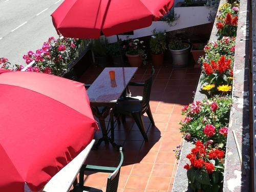 Hostal Pension Las Terrazas