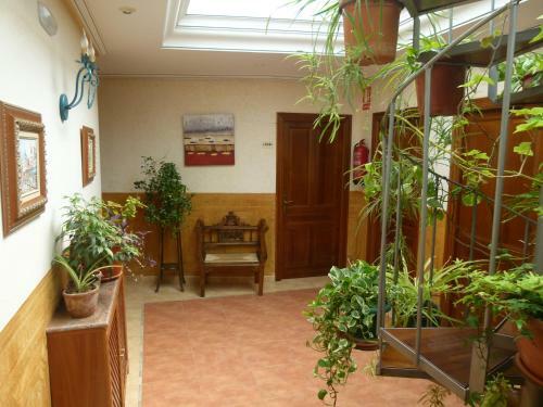 Hotel Paqui