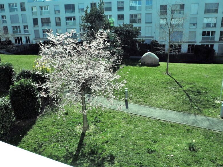 Hotel Ibis Geneve Petit Lancy