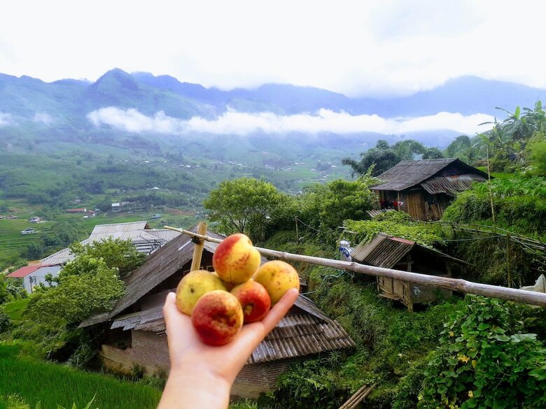 Hotel Surelee Homestay