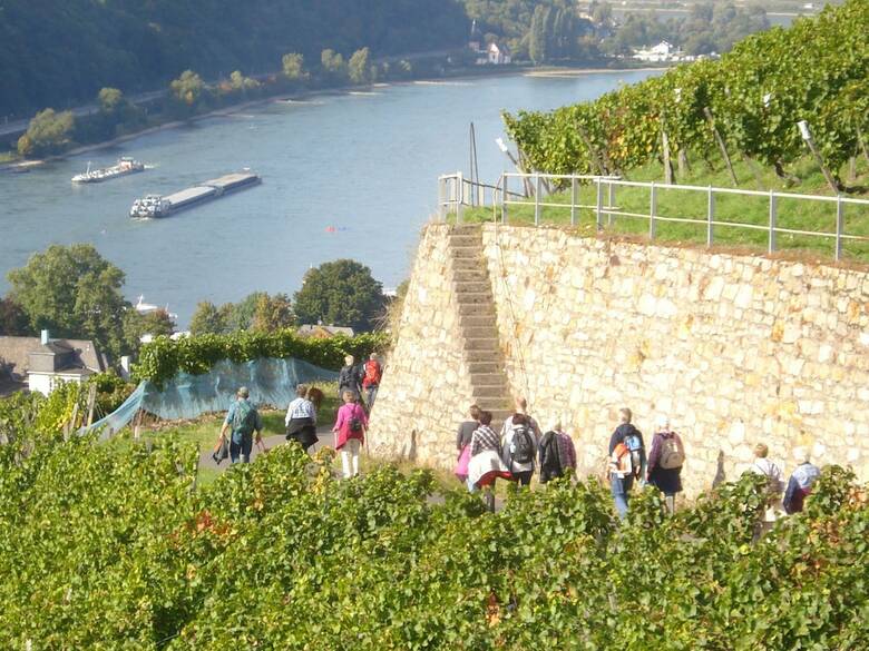 Hotel G�stehaus Rita
