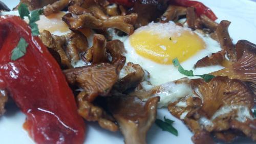 Hostal Molin�