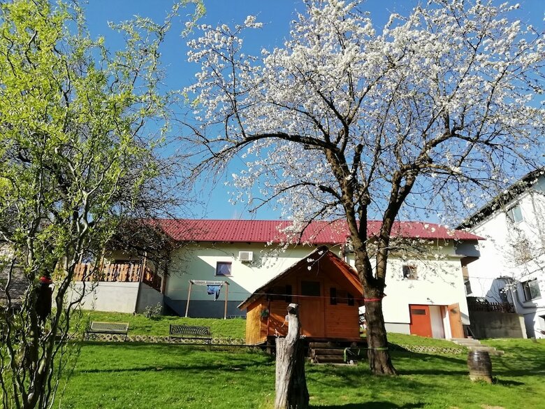 Hotel Apartmaji Bungalovi I Sotorisce Silva