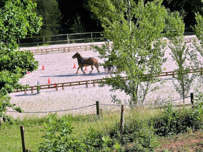 Chalets La Fr�gi�re
