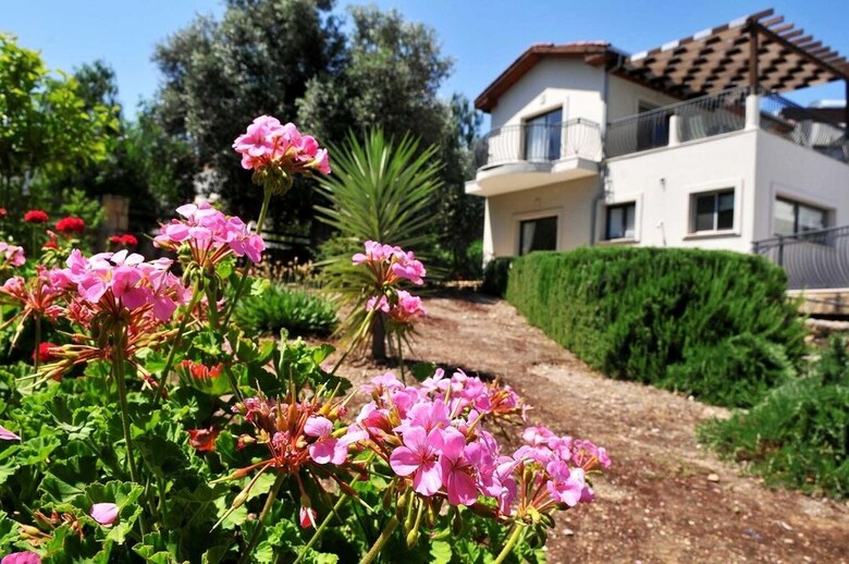 Villa Amelia By Amy Villas