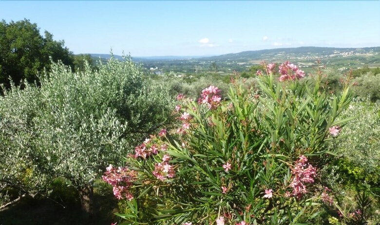 G�te Lavande