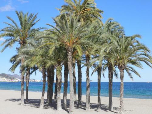 Apartamento Casa La Torreta