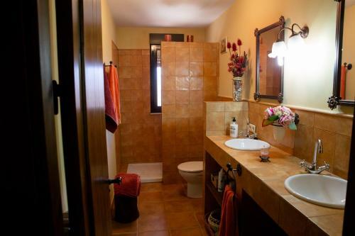 Casa Mag�eto