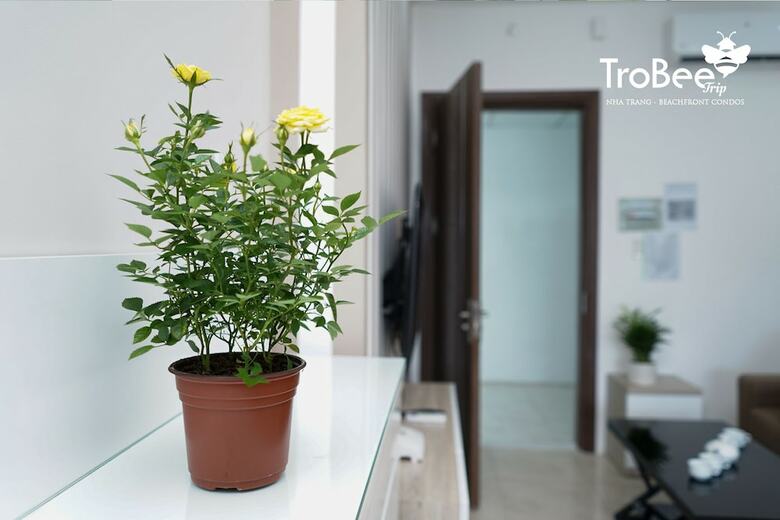Apartamentos Trobee Trip - Nha Trang Condos