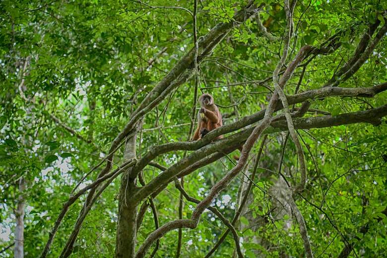 Hotel Ecoamazonia Lodge