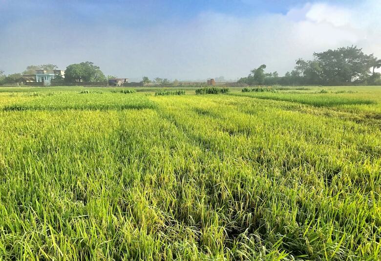 Hotel May Homestay Ninh Binh