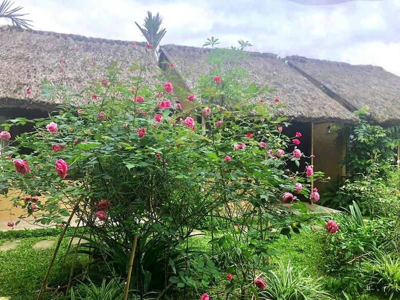 Hotel May Homestay Ninh Binh