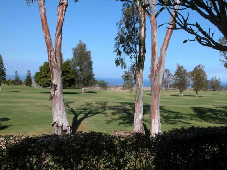 Waikoloa Villa Home With Golf View