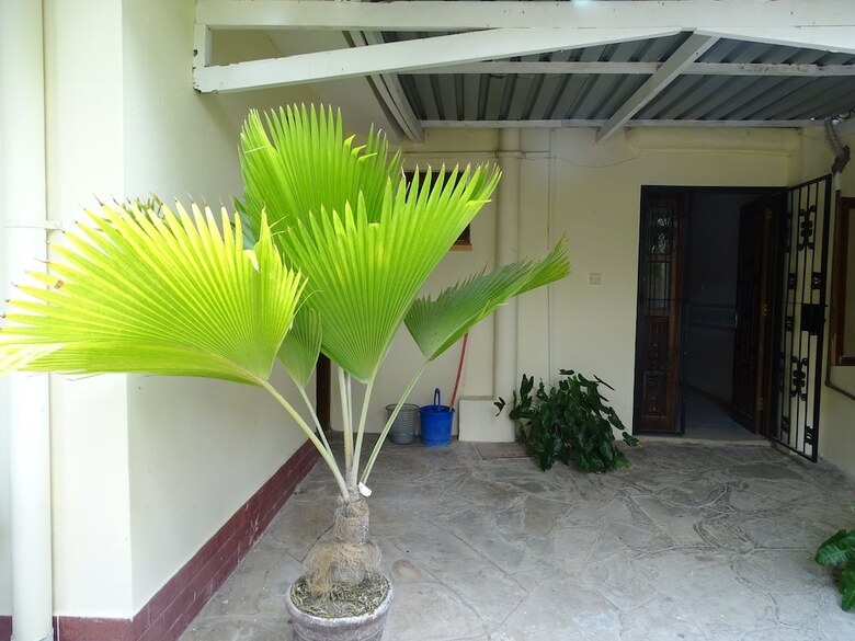 Hotel Nyali Parkside Resort