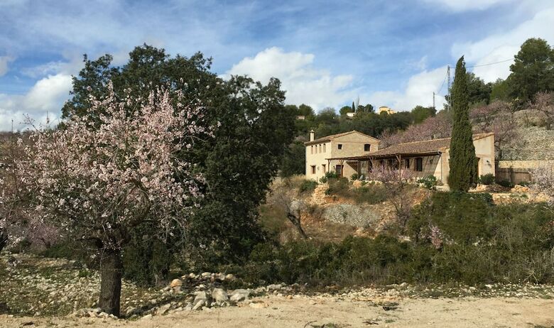 Apartamentos Can Elisa - Adults Only