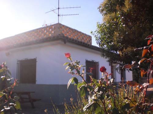 Apartamento Turistico Los Olivos