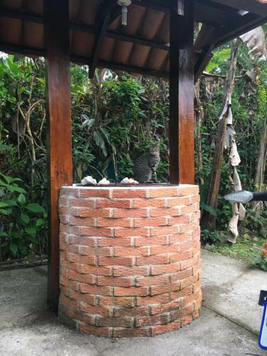 Apartamento Las Casitas De Playa Negra