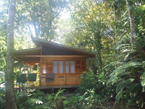 Bed & Breakfast El Tucan Jungle Lodge