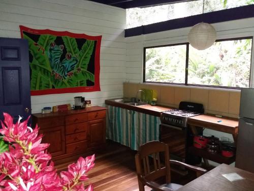 Bed & Breakfast El Tucan Jungle Lodge