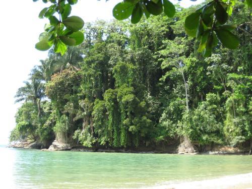 Bed & Breakfast El Tucan Jungle Lodge