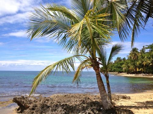 Hotel Physis Caribbean Bed & Breakfast