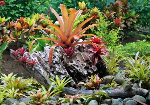 Hotel Physis Caribbean Bed & Breakfast