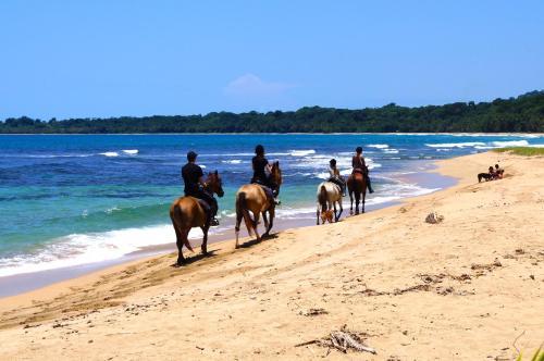 Hotel Physis Caribbean Bed & Breakfast