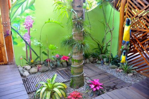 Hotel Physis Caribbean Bed & Breakfast