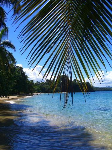 Hotel Physis Caribbean Bed & Breakfast