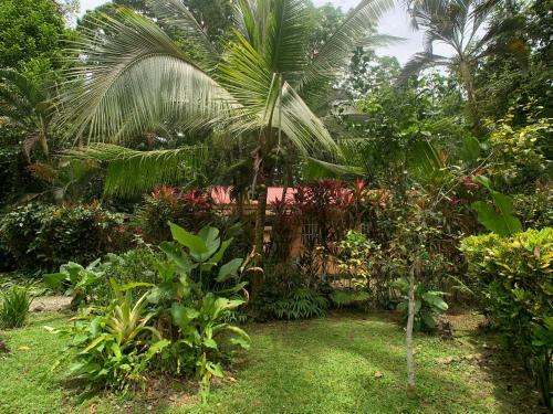 Posada Luna Caribe�a Village