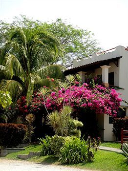 Apartamento Tropical Gardens Green Turtle