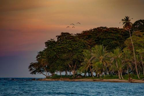 Lodge Caribe Town Resort