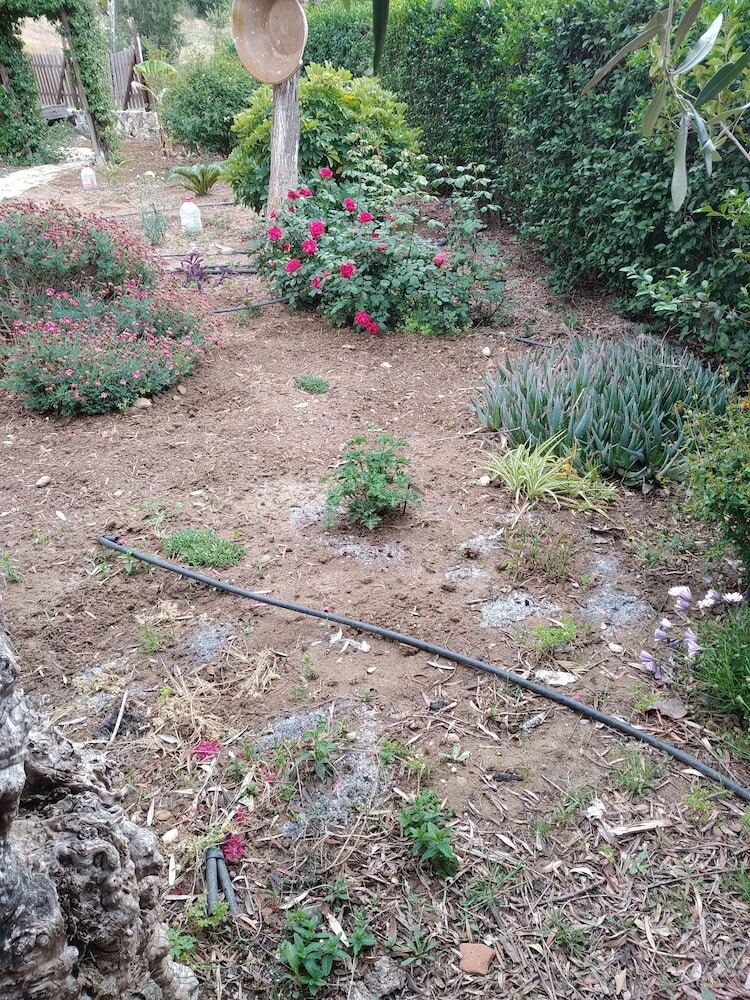 Agroturismo Cortijo Veracruz