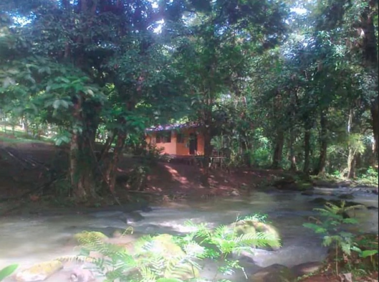 Cabana Vanilla Jungle Lodge - Bed & Breakfast