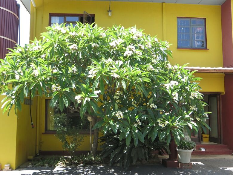 Hotel Lourens River Guesthouse