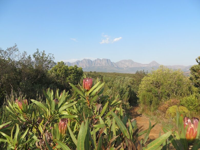 Hotel Lourens River Guesthouse