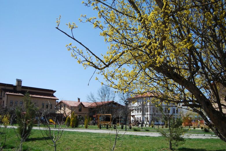 Hotel Iksir Resort Town - Special Class