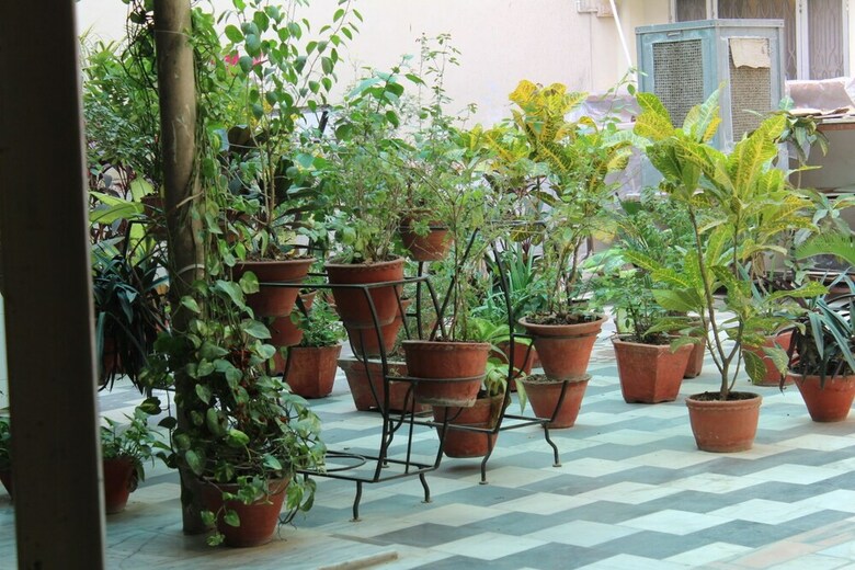 Hotel Aashirwad Paying Guest House