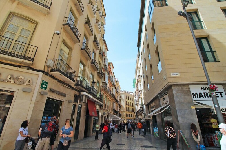 Apartamentos Del Parque Flats Molina Larios