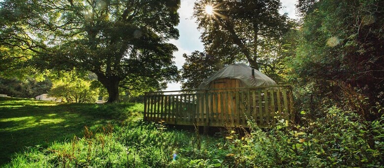 Hazel - Yurt